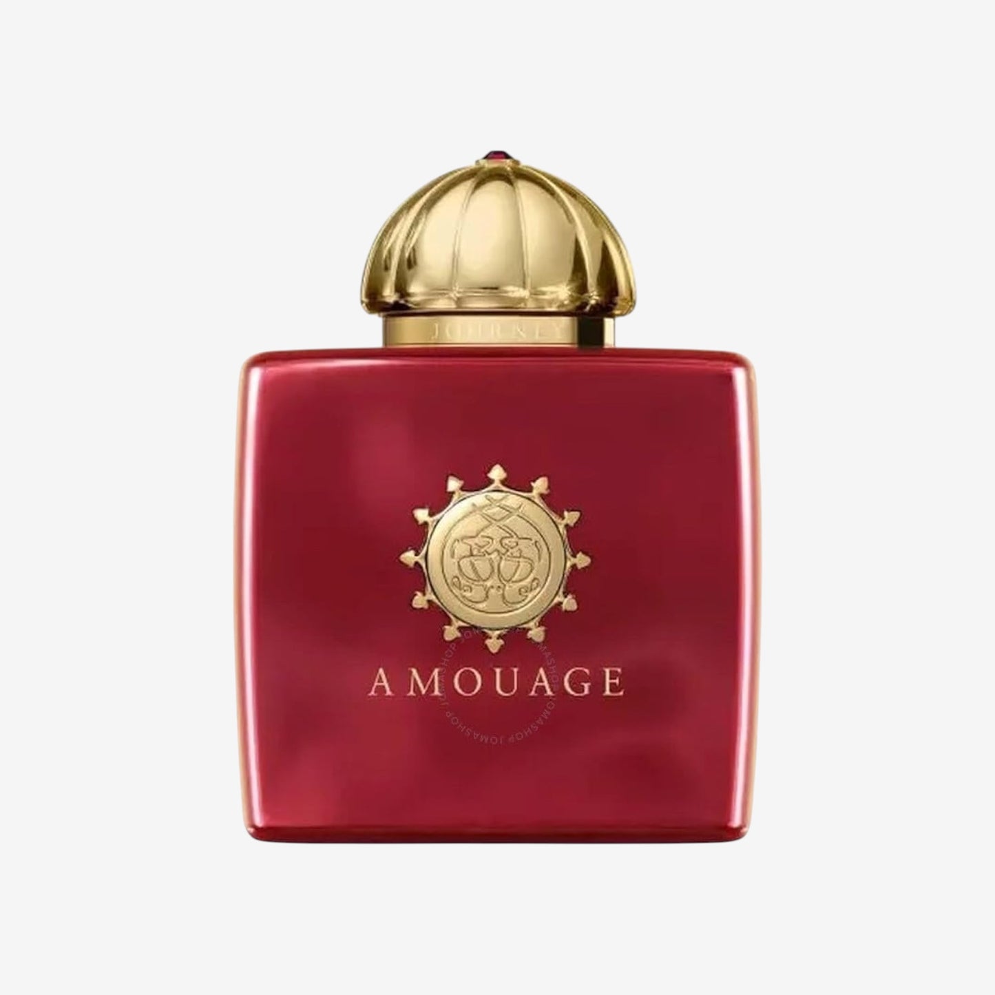 AMOUAGE Ladies Journey EDP Spray 3.4 oz Fragrances