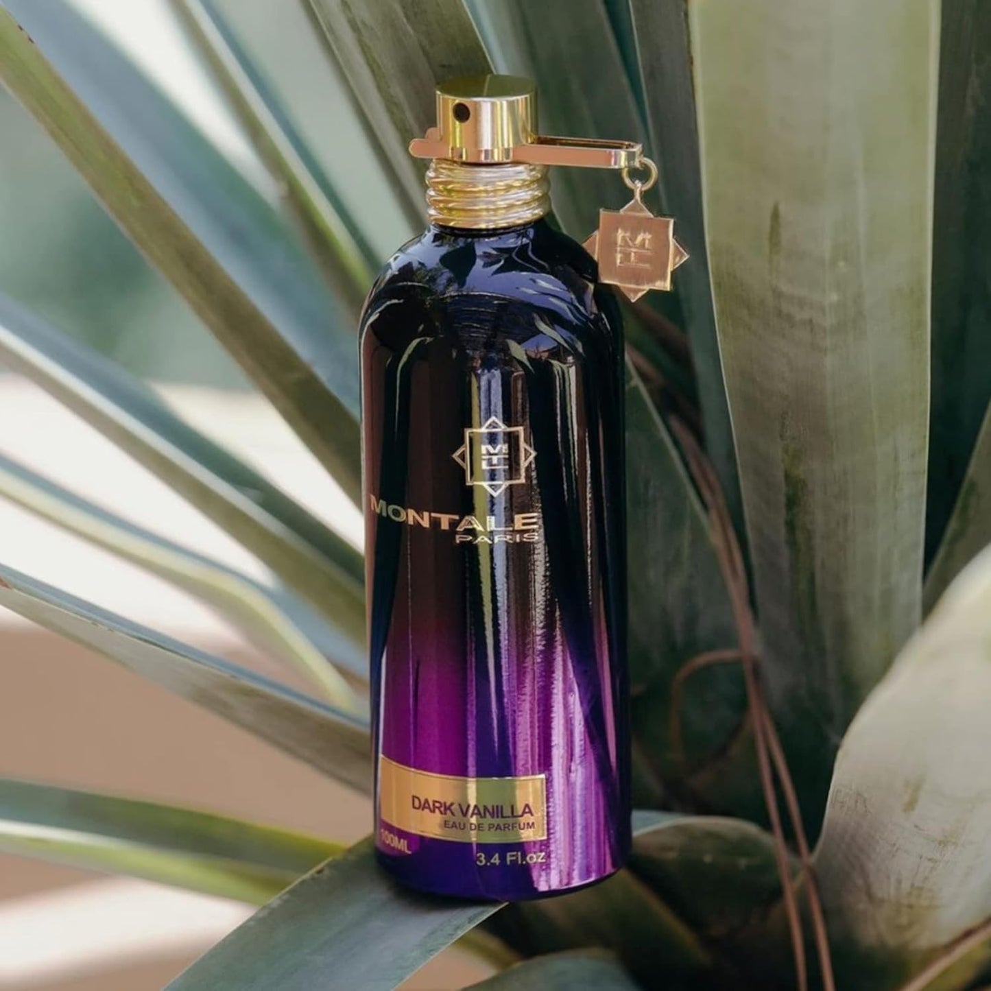 MONTALE, Dark Purple, Eau de Parfum, Damenduft, 100 ml