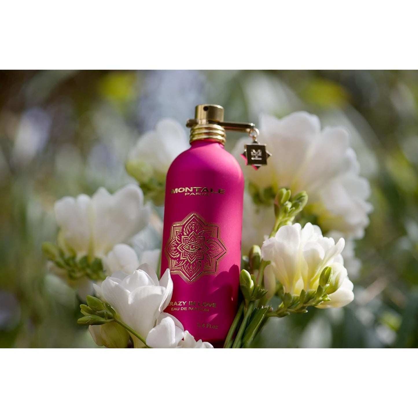 Montale Paris dark vanilla epv 100ml