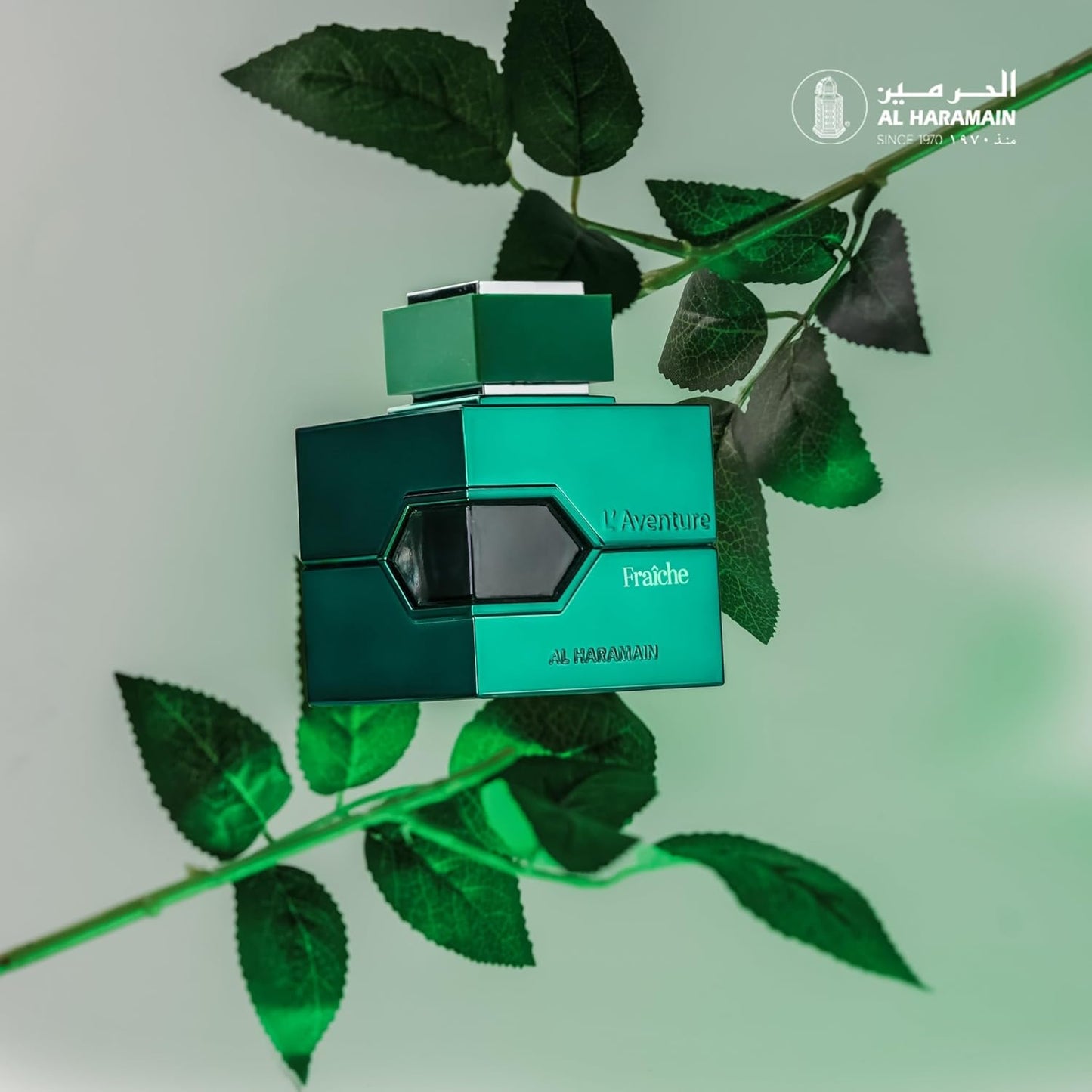 Al Haramain L'Aventure Fraiche Uni Parfüm 100 ml Marke Al Haramain EAN: 6291106813579