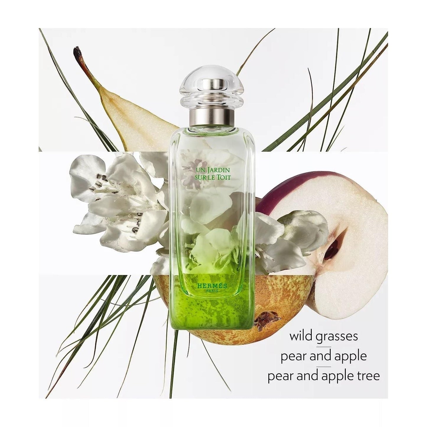 Hermes - Un Jardin Sur Le Toit For Unisex 100ml EDT