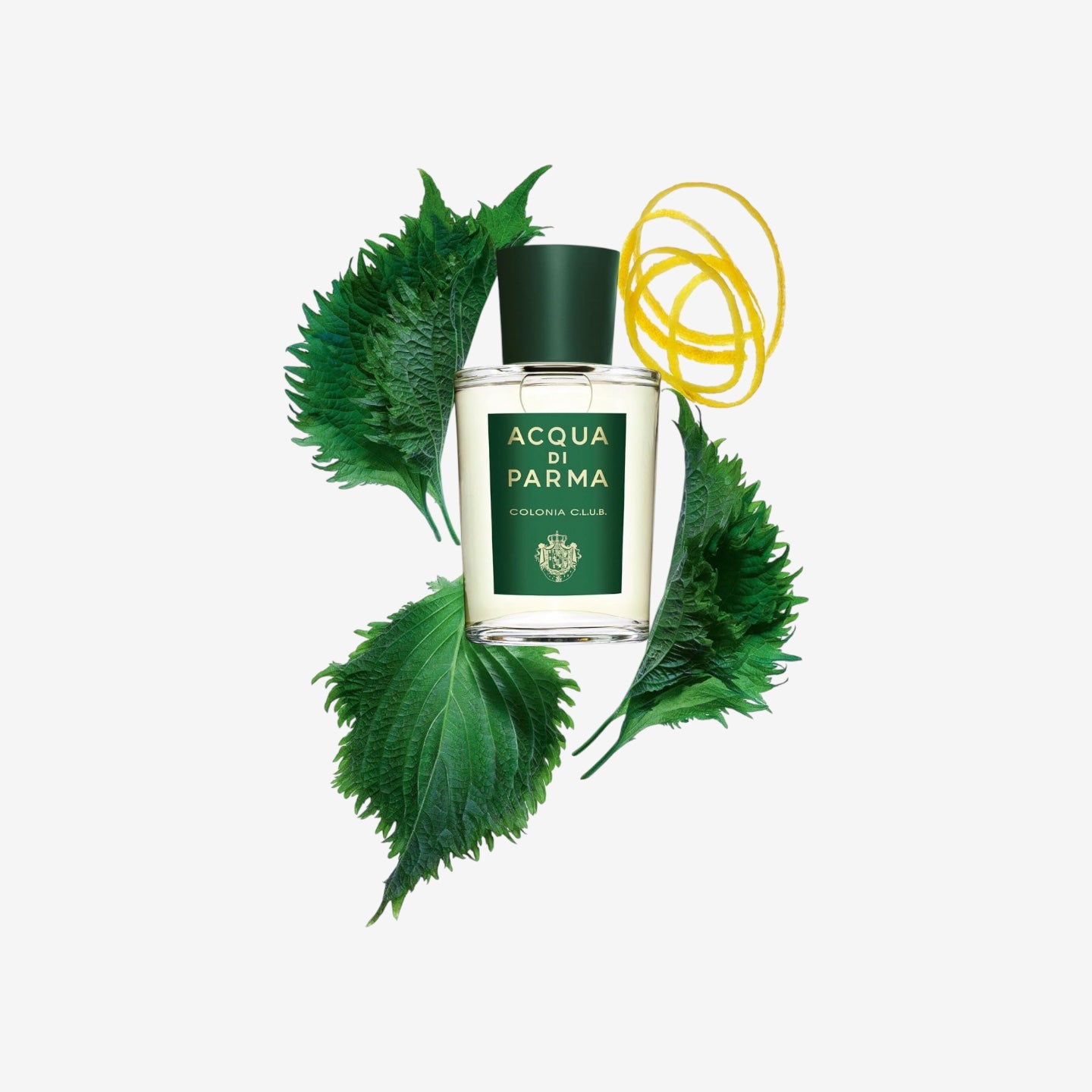 Acqua Di Parma Colonia Club, Eau de Cologne, Man, 100 ml.