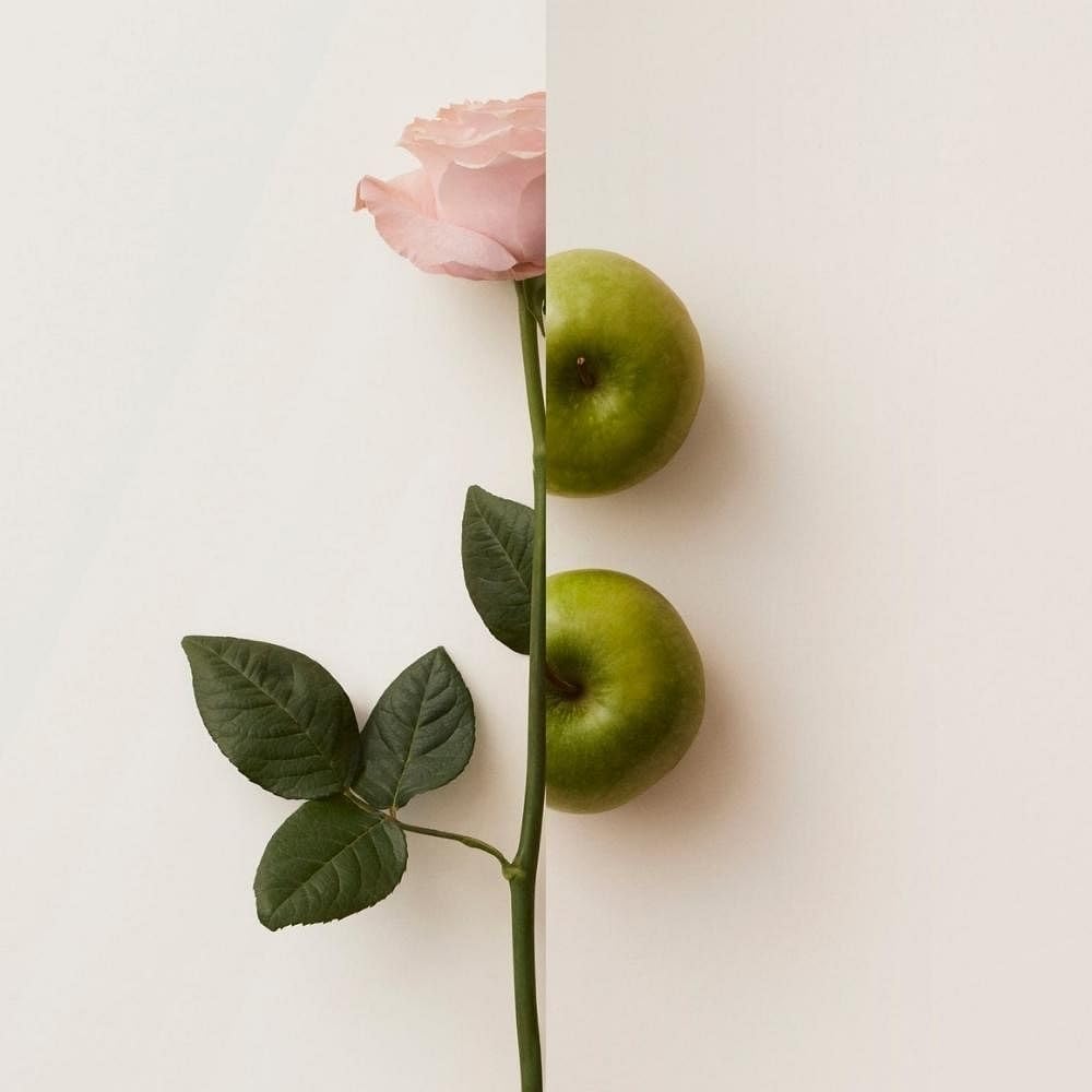 Burberry - My Blush EDP 30 ml