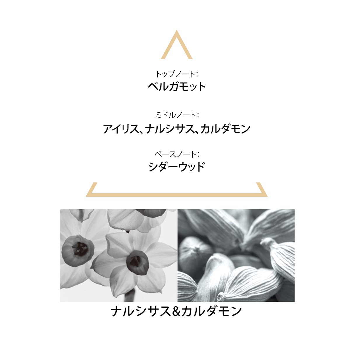 Le Couvent Des Minimes Singulieres Theria Edp 100 Ml