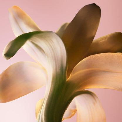 FAME INTENSE edp refill 200 ml