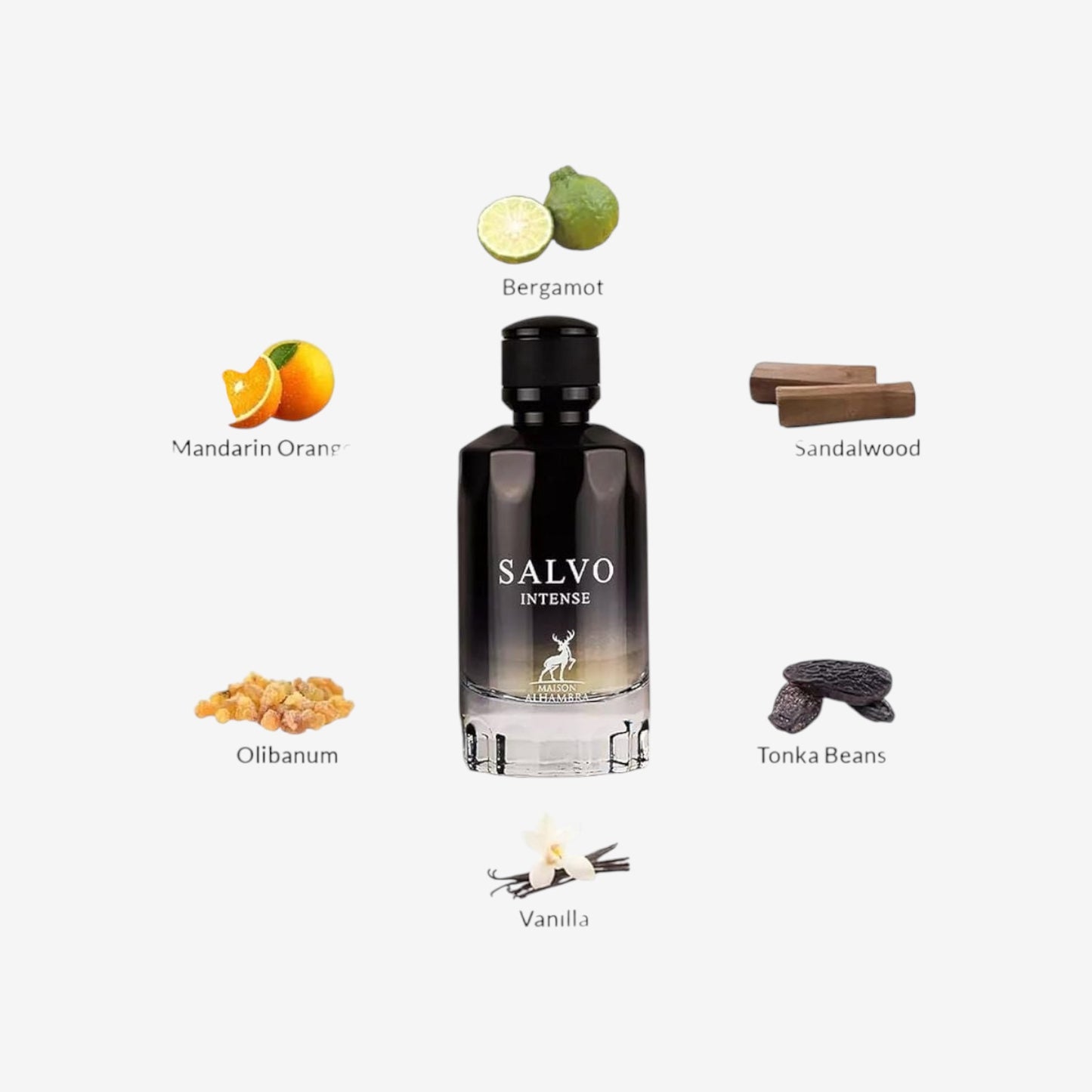Maison Alhambra Salco Intense Eau de Parfum, 100 ml