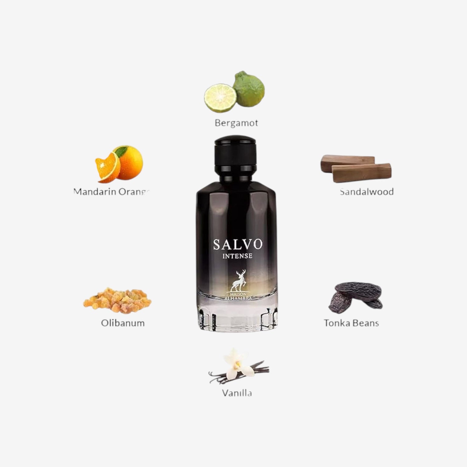 Maison Alhambra Salco Intense Eau de Parfum, 100 ml
