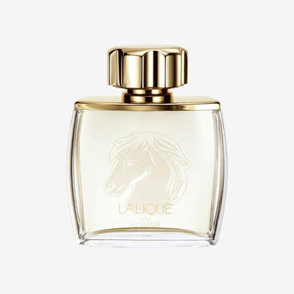 Lalique Pour Homme Equus homme/men,Eau de Parfum Spray, 1er Pack (1 x 75 ml)