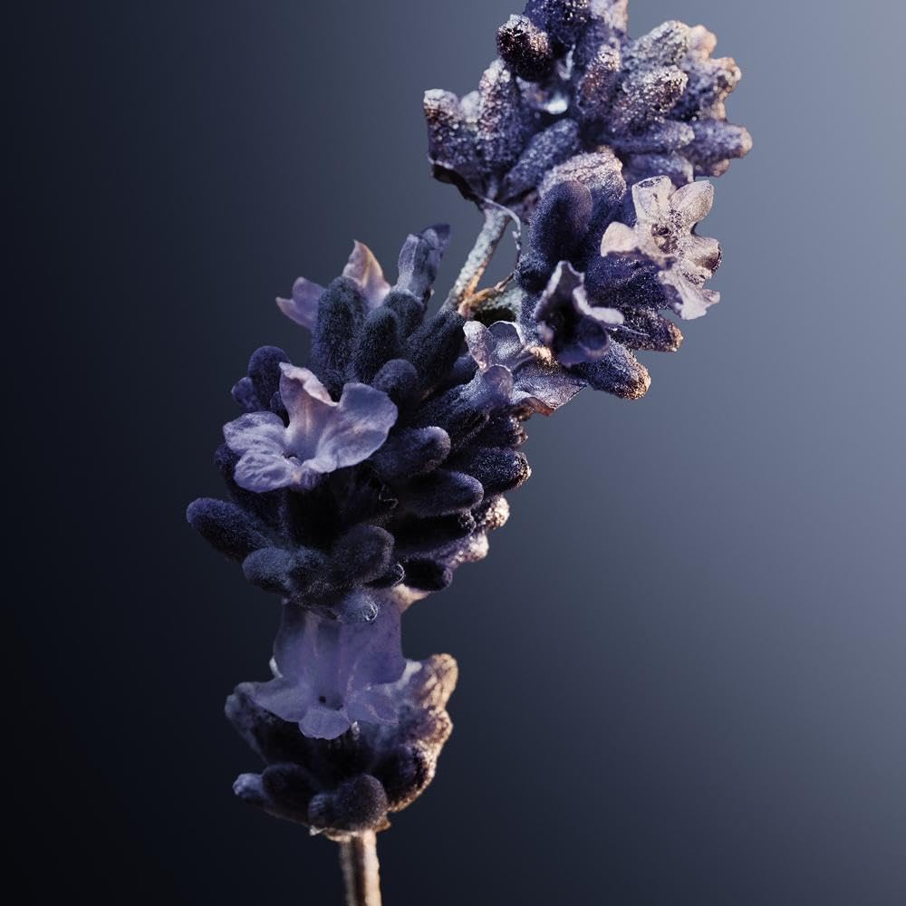 PACO RABANNE Phantom Intense Eau de Parfum 50 ml