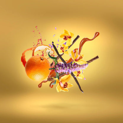 XERJOFF Lyra Eau de Parfum Spray für Frauen 100 ml