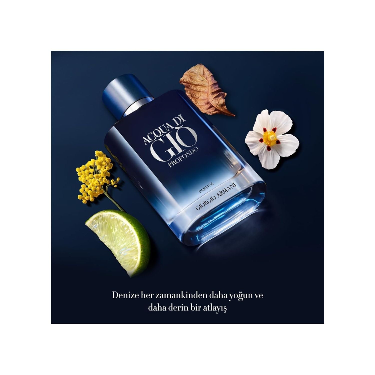 Giorgio Armani ACQUA DI GIÒ Profodo Parfum