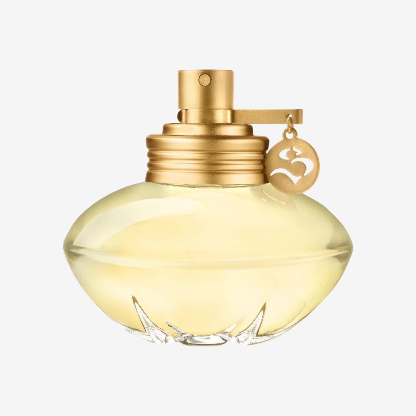 Shakira Perfumes – Rock von Shakira für Damen – Langanhaltend – Frischer, femininer und dynamischer Duft – Blumige und fruchtige Noten – Ideal für tagsüber – 80 ml