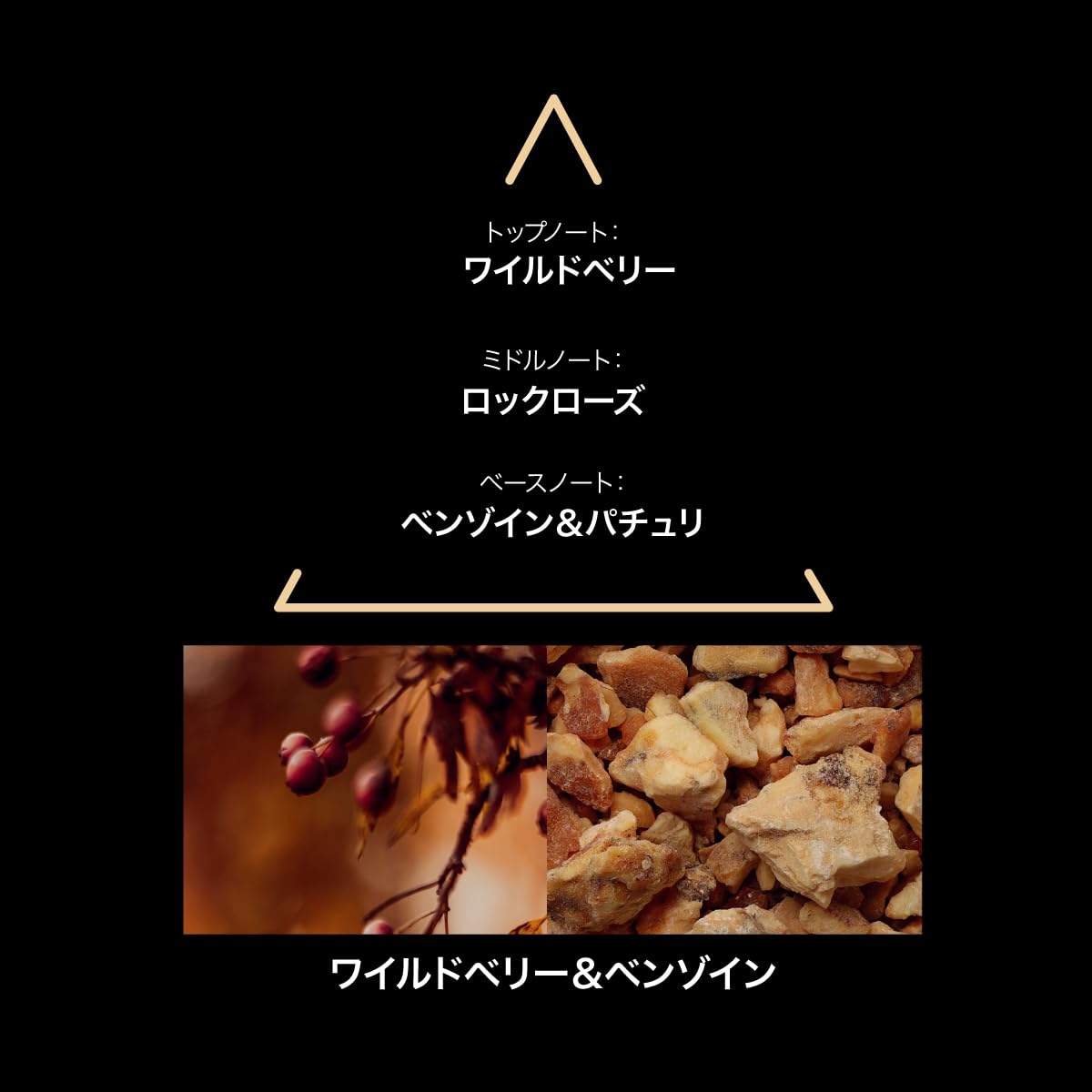 le couvent maison de parfum Fort Royal EDP 50 ml Oriental