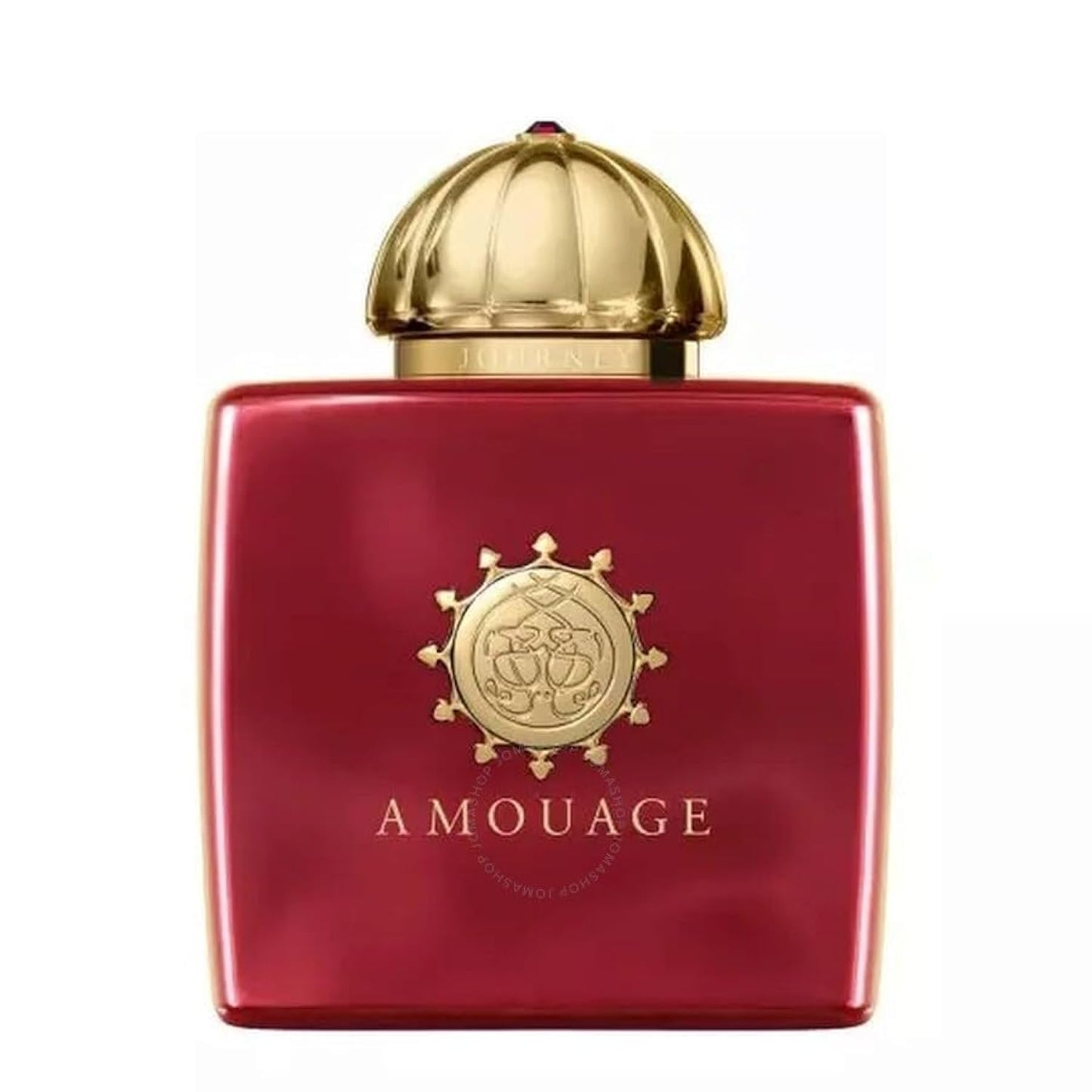 AMOUAGE Ladies Journey EDP Spray 3.4 oz Fragrances