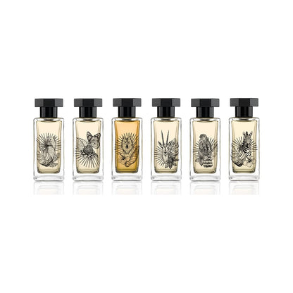 Le Couvent Des Minimes Singulieres Theria Edp 100 Ml