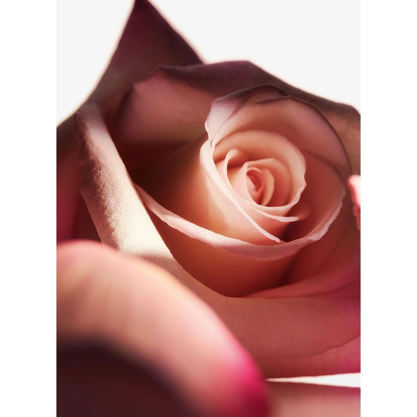 PACO OLYMPEA FLORA INTENSE EDP SPRAY 50ML