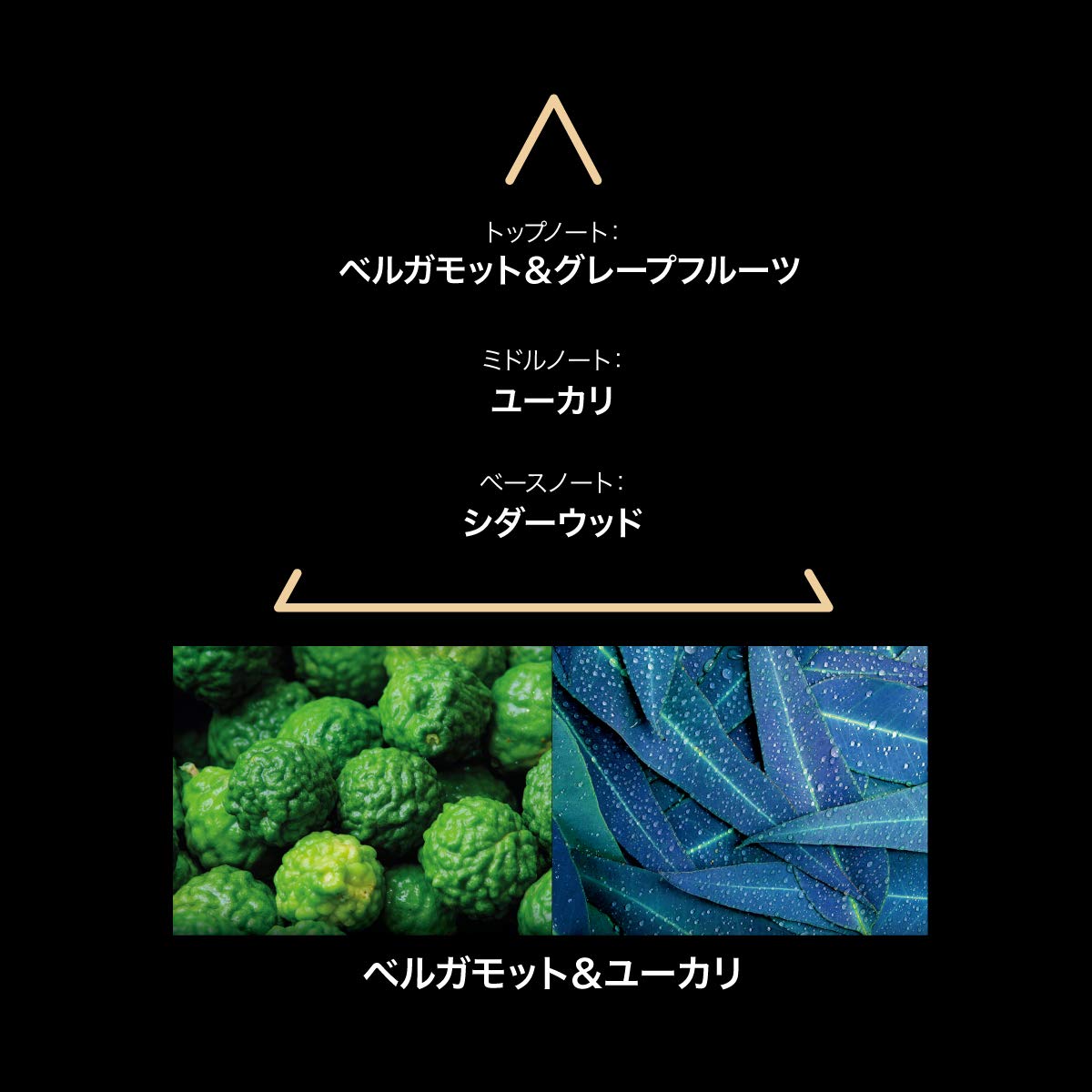 LE COUVENT Compatible - Remarkable Perfume Santa Cruz EDP 50 ml