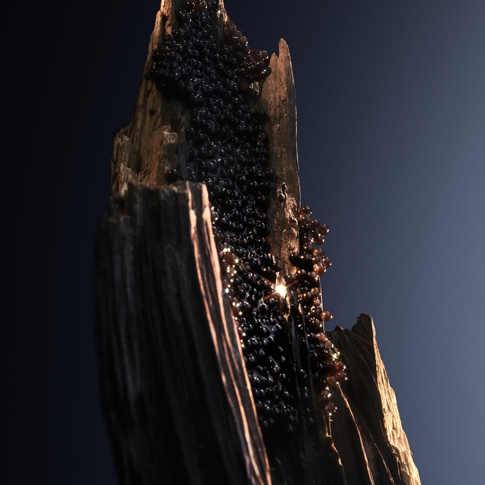 PACO RABANNE Phantom Intense Eau de Parfum 50 ml