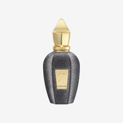 Xerjoff Casamorati 1888 XERJOFF X Ouverture for Unisex Eau de Parfum Spray, 100 ml