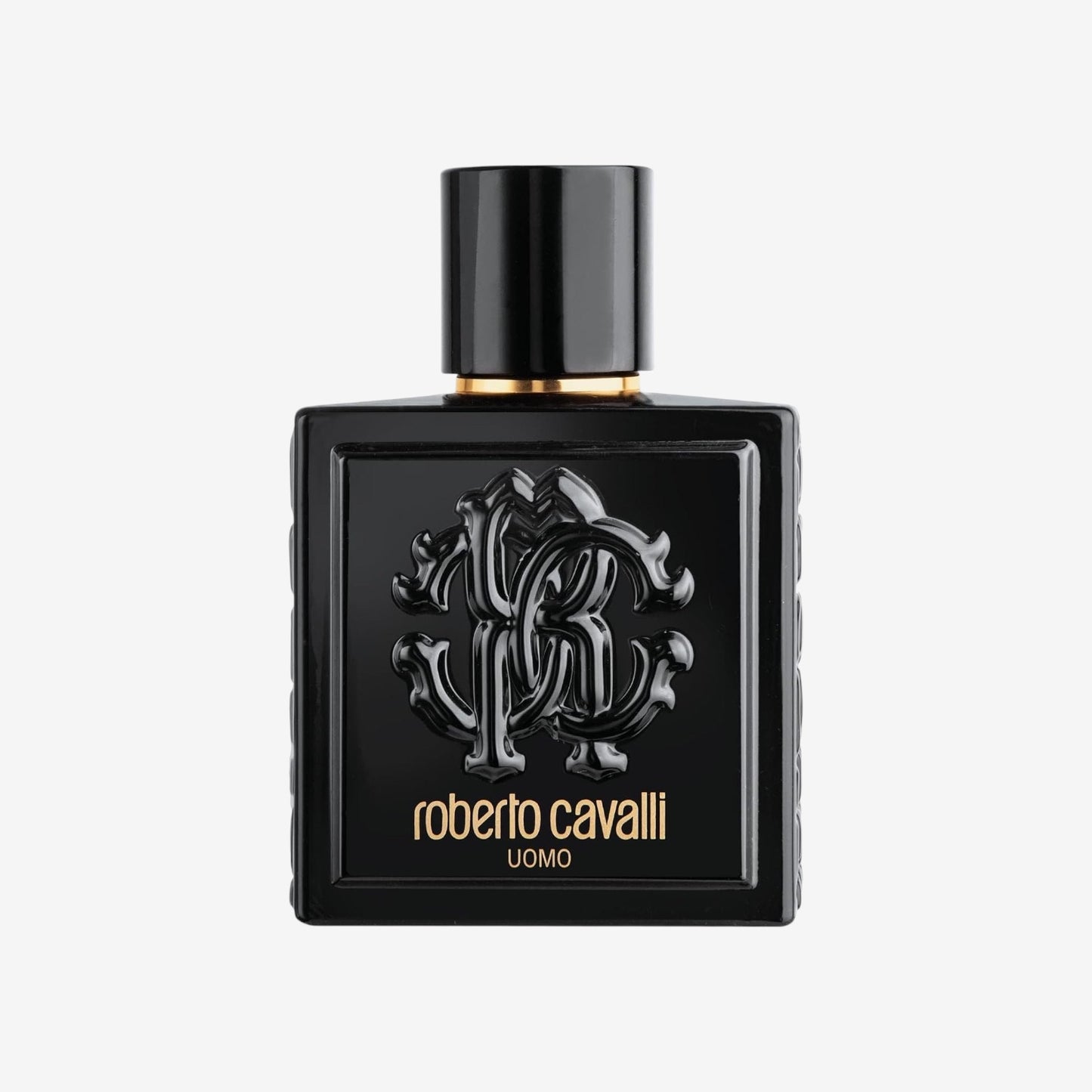 ROBERTO CAVALLI Uomo, Eau de Toilette für Herren, Intensiver, Tiefer Herrenduft, 100 ml