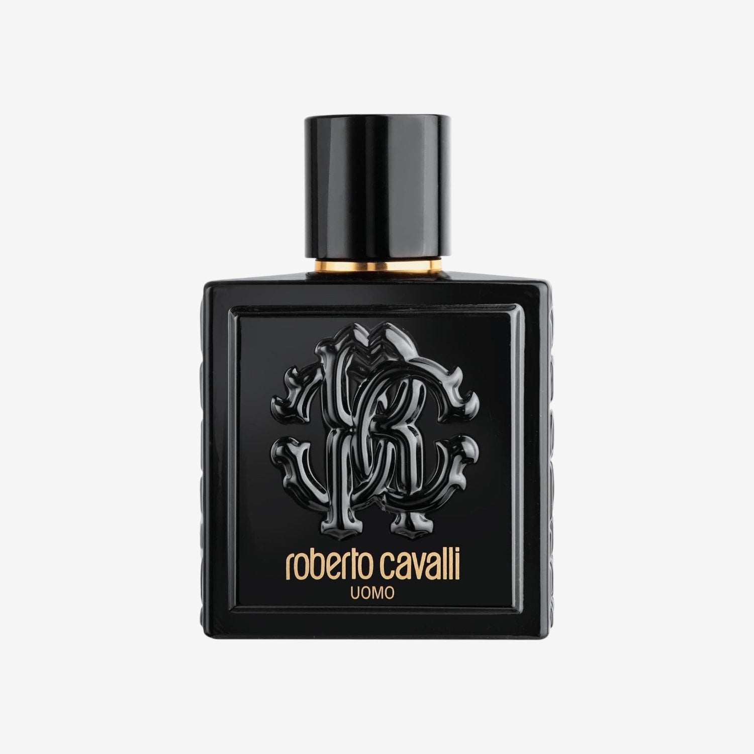 ROBERTO CAVALLI Uomo, Eau de Toilette für Herren, Intensiver, Tiefer Herrenduft, 100 ml