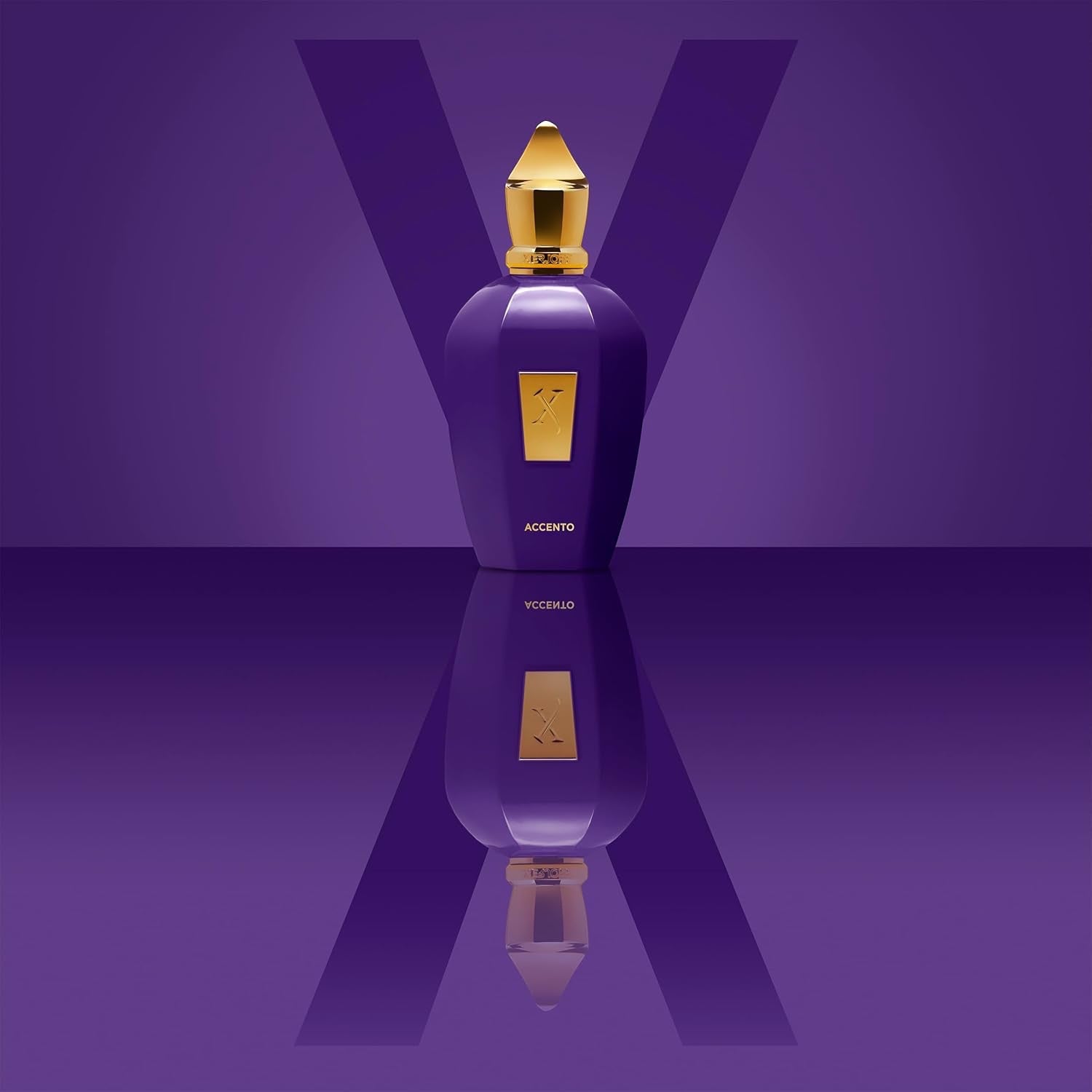 XERJOFF Accento EDP Vapo 100 ml, 1er Pack (1 x 100 ml)