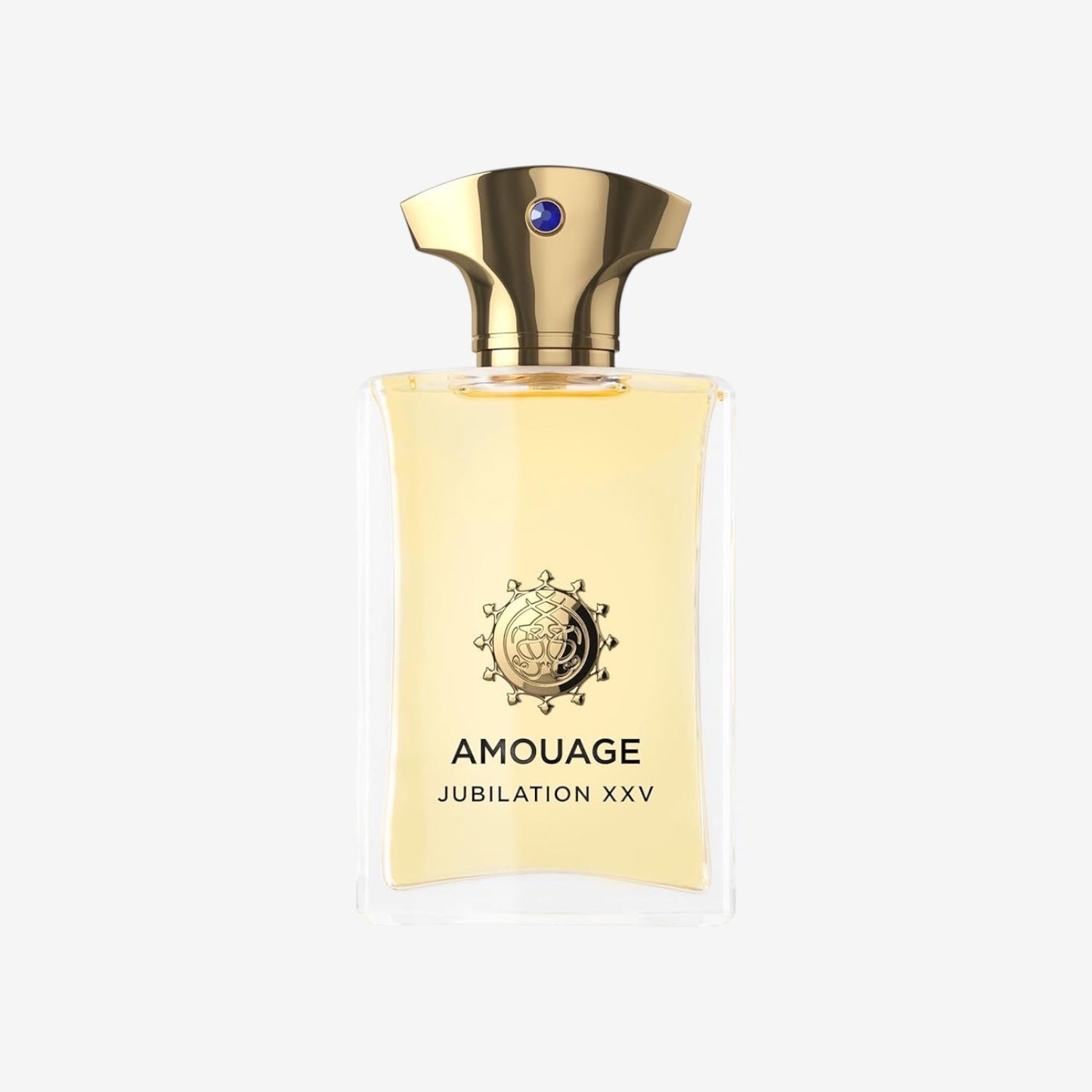 AMOUAGE, Jubilation XXV Man, Eau de Parfum, Herrenduft, 100 ml