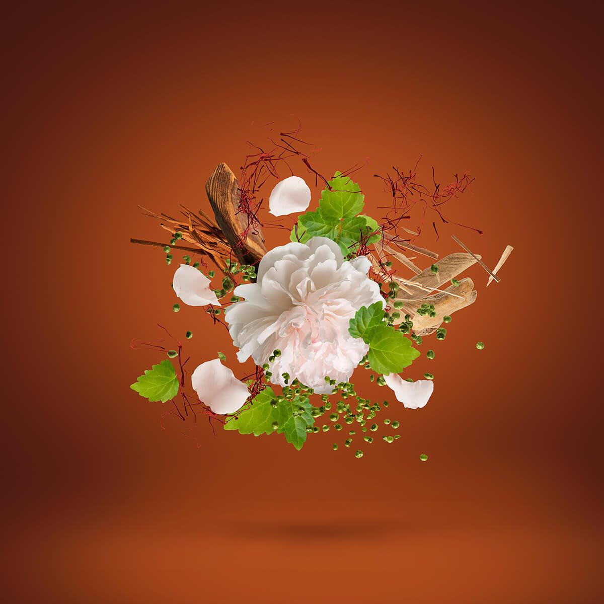 XERJOFF Casamo 1888 EDP Vapo 100 ml, 1er Pack (1 x 100 ml)