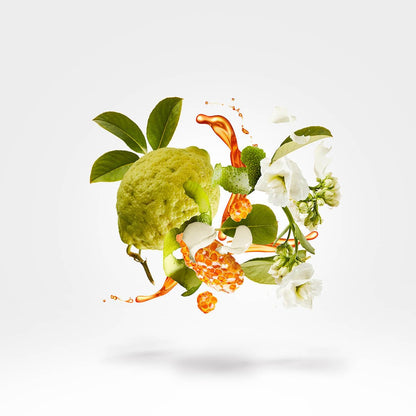 XERJOFF 1861 NAXOS Eau de Parfum, 100 ml