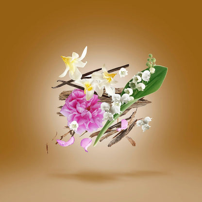 Xerjoff Parfum 50 ml