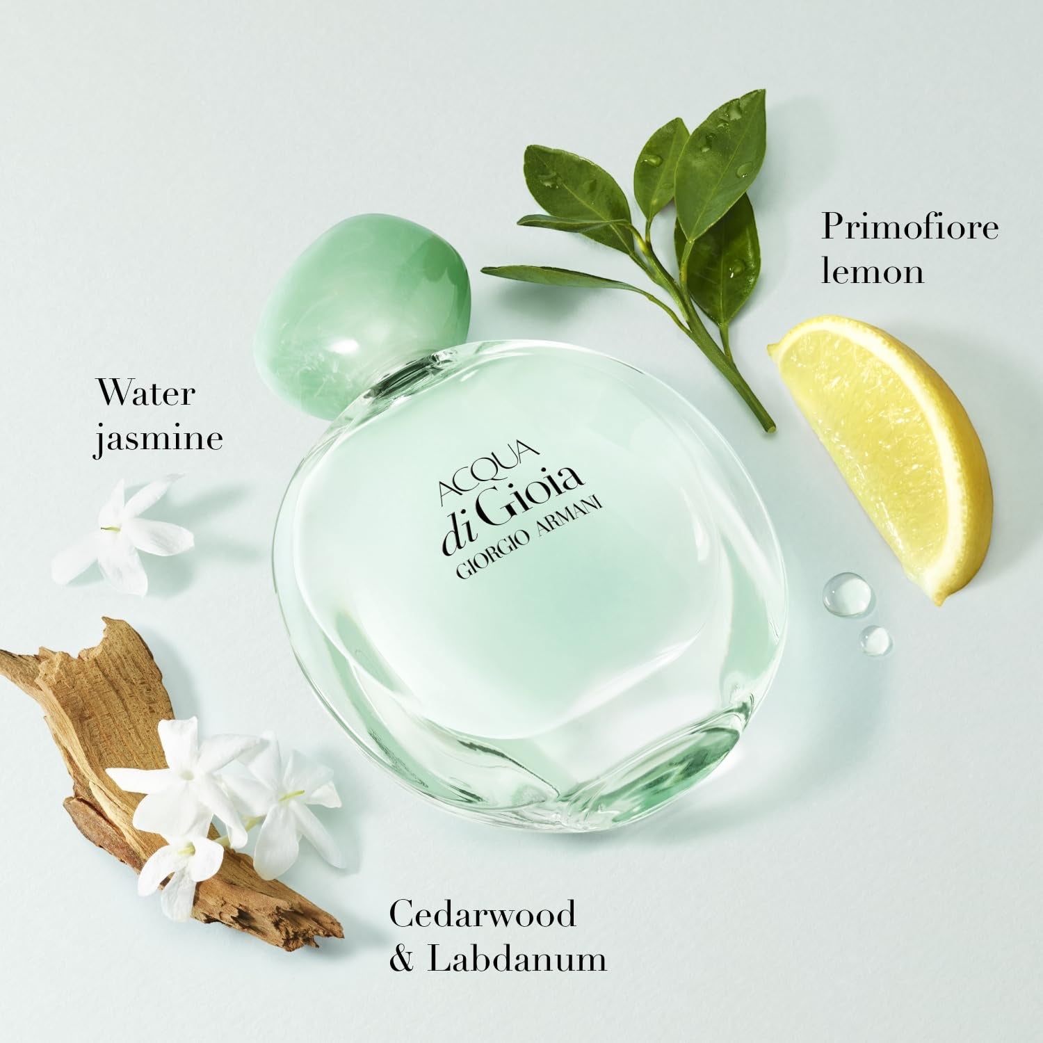 Giorgio Armani Acqua di Gioia Woman femme, Eau de Parfum, 1er Pack (1 x 100 ml)