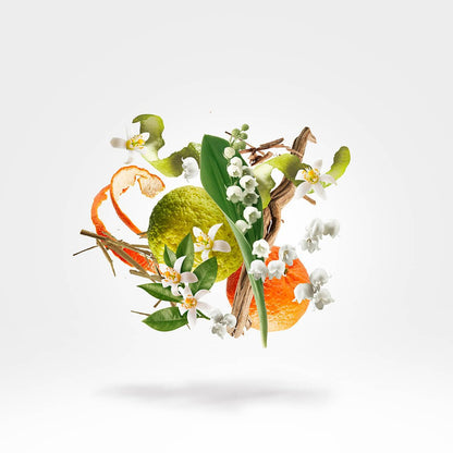 XERJOFF 1861 RENAISSANCE EAU DE PARFUM 100ML