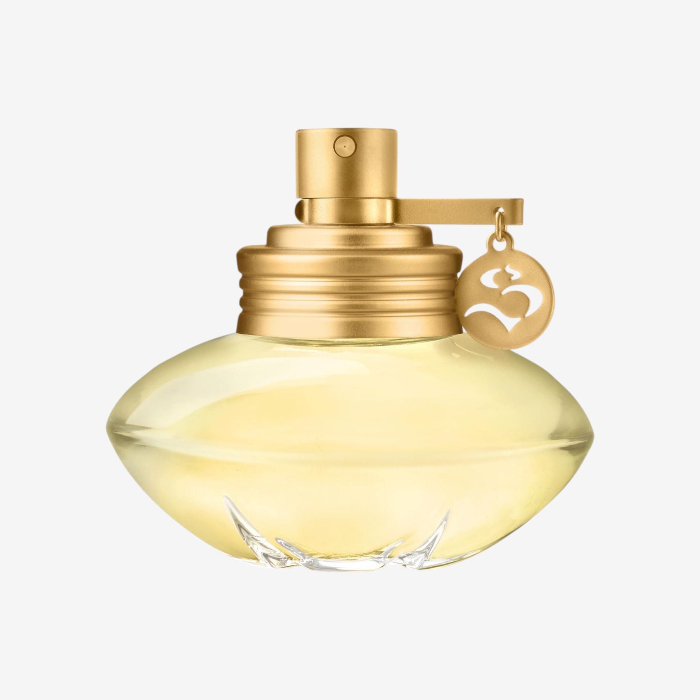 Shakira Perfumes – Rock von Shakira für Damen – Langanhaltend – Frischer, femininer und dynamischer Duft – Blumige und fruchtige Noten – Ideal für tagsüber – 80 ml