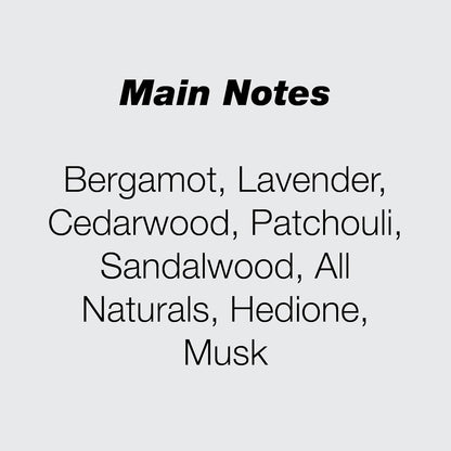 Initio Rehab, 90 ml (1er Pack)