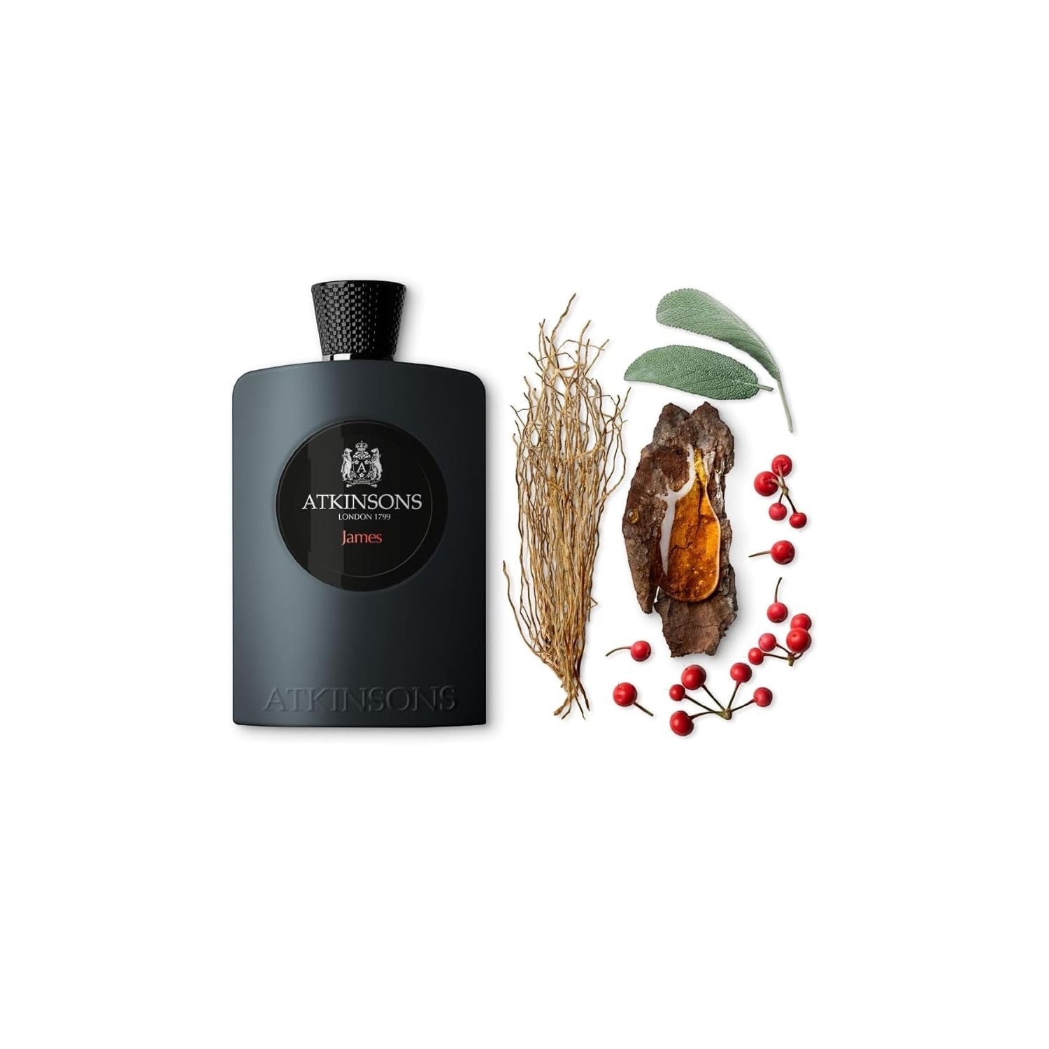 Atkinsons 1799 James Eau De Parfum 100 ml