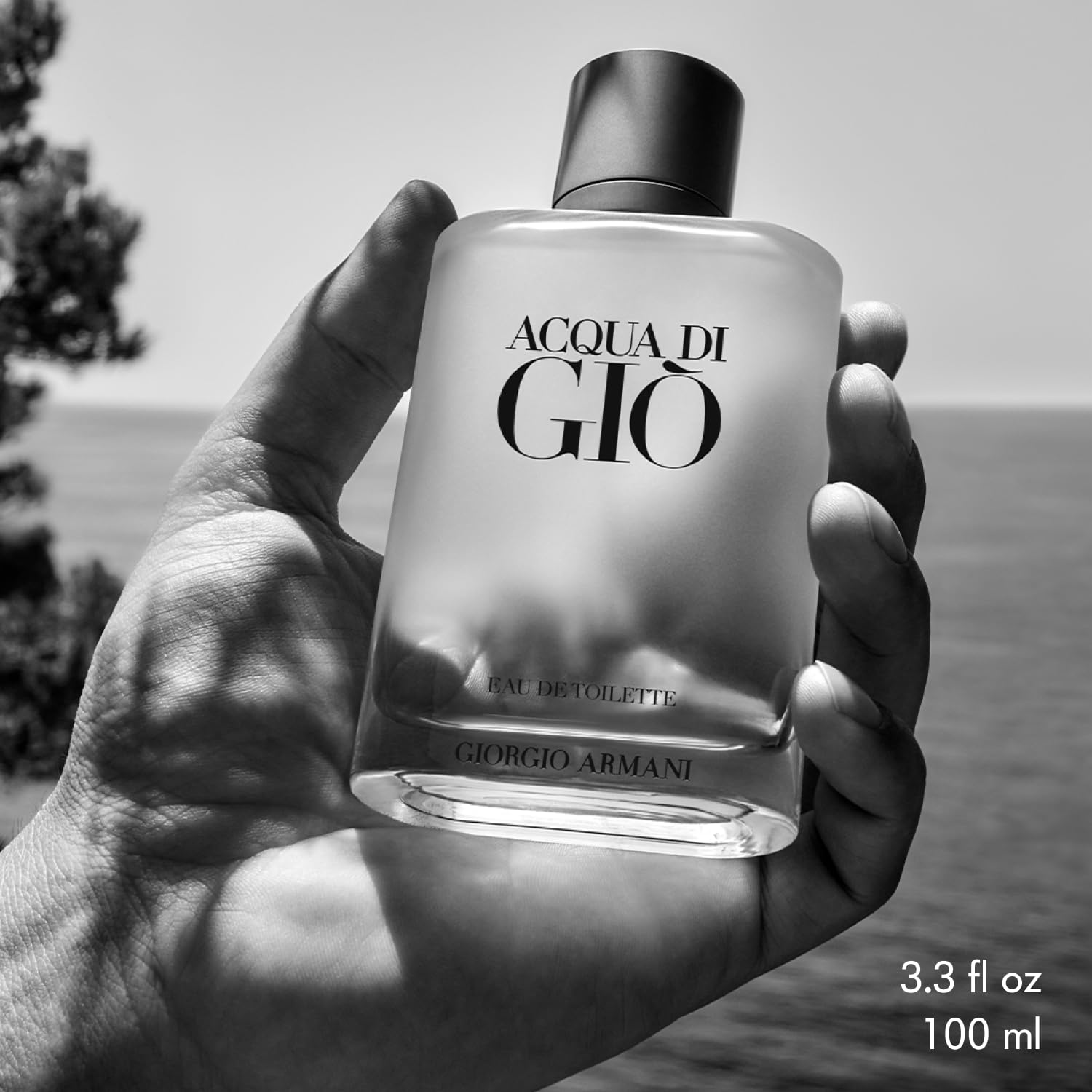 Giorgio Armani Giorgio Armani Acqua Di Gio Eau de Toilette für Herren, 100 ml