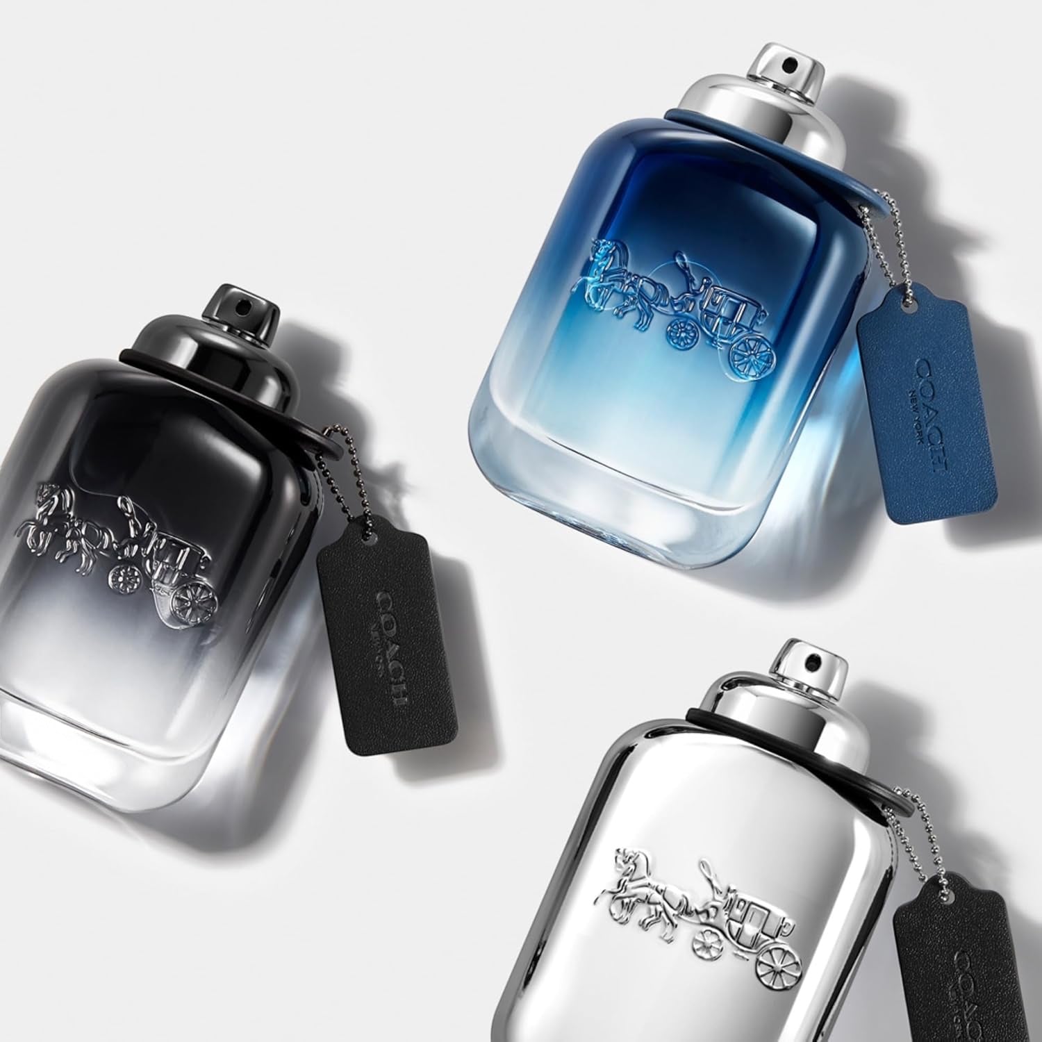 Coach Platinum EdP, Linie: Platinum, Eau de Parfum für Herren, Inhalt: 60ml