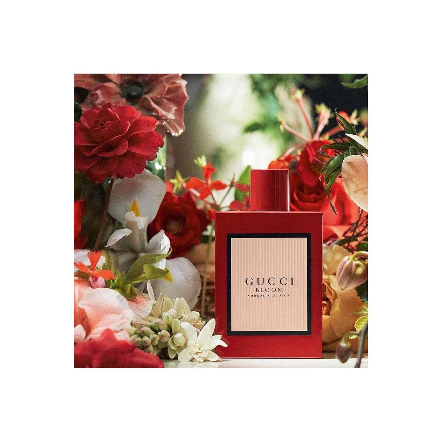 Gucci Bloom Ambrosia Di Fiori Edp Vapo 50 Ml