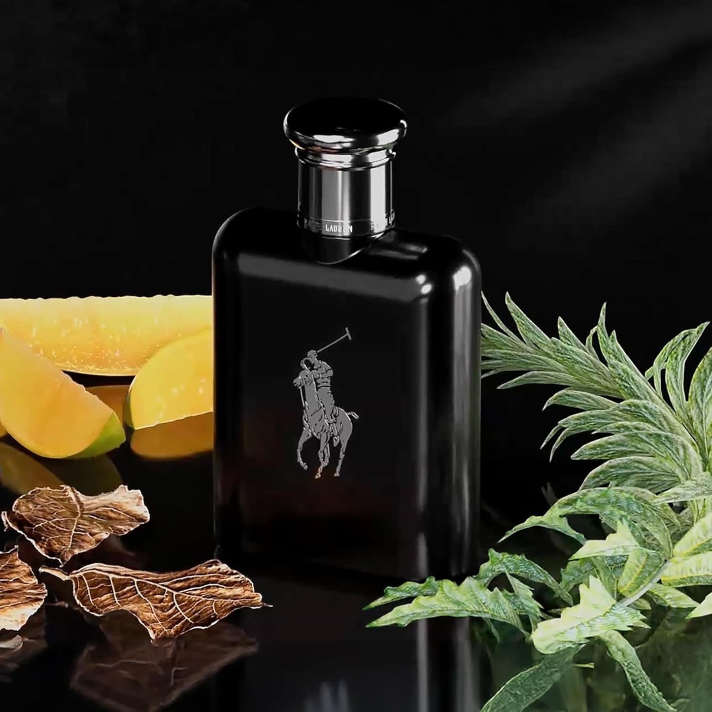 Ralph Lauren Polo Black Eau de Toilette für Herren, holzig-aromatischer Duft mit Patchouli & Mango, für moderne Männer