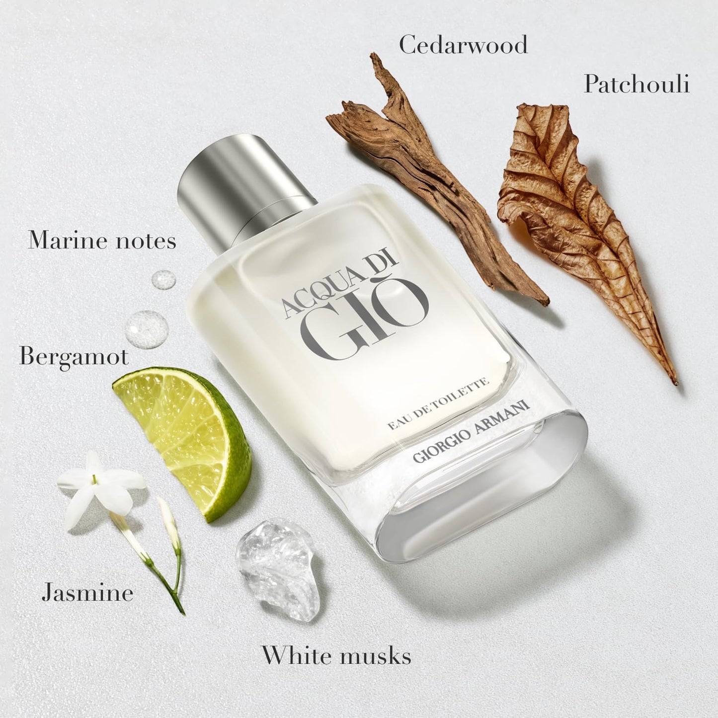Giorgio Armani Giorgio Armani Acqua Di Gio Eau de Toilette für Herren, 100 ml
