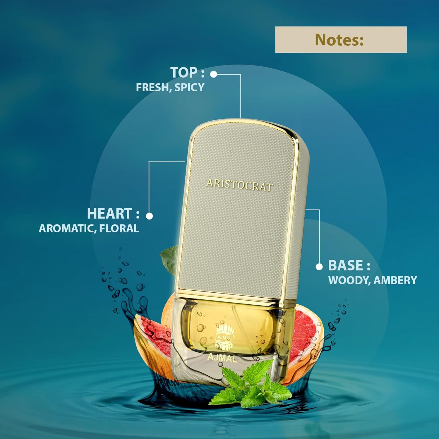 AJMAL AJMAL ARISTOCRAT COASTAL EDP 75ML