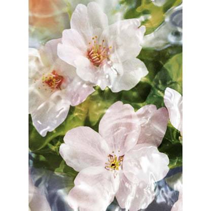 GUERLAIN, Aqua Allegoria Flora Cherrysia, Eau de Toilette, Damenduft, 75 ml