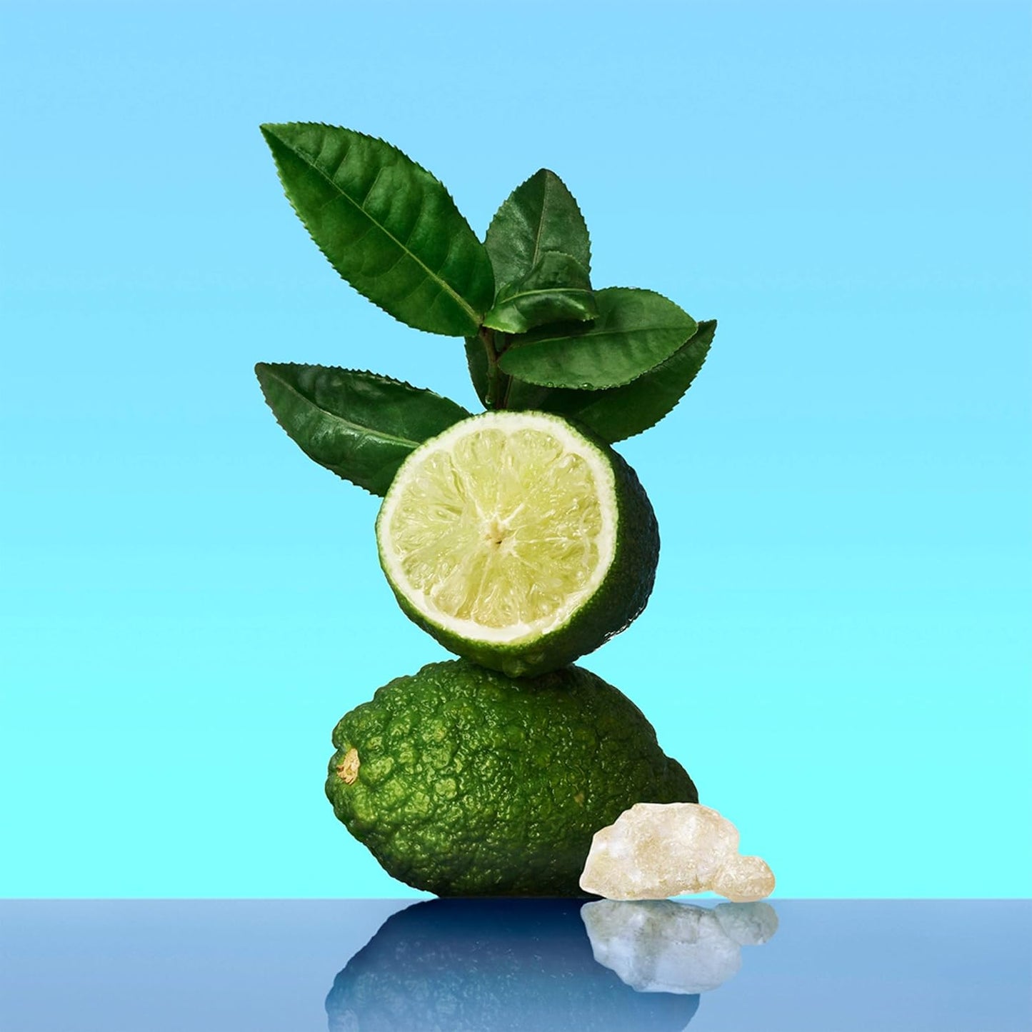 Calvin Klein ck one Eau de Toilette, aromatisch-zitrischer Unisex-Duft für Frauen und Männer