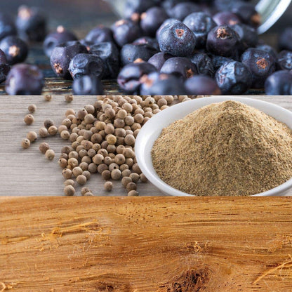 Calvin Klein CK Be Eau de Toilette