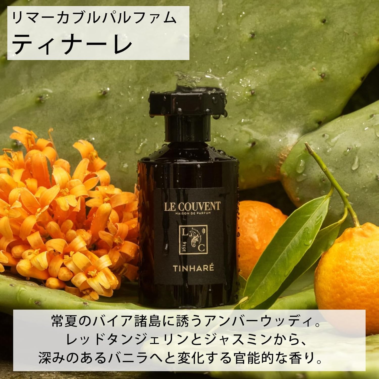 Le Couvent Maison de Parfum Couvent Des Minimes Remarquable Tinhare Parfum 100 Ml