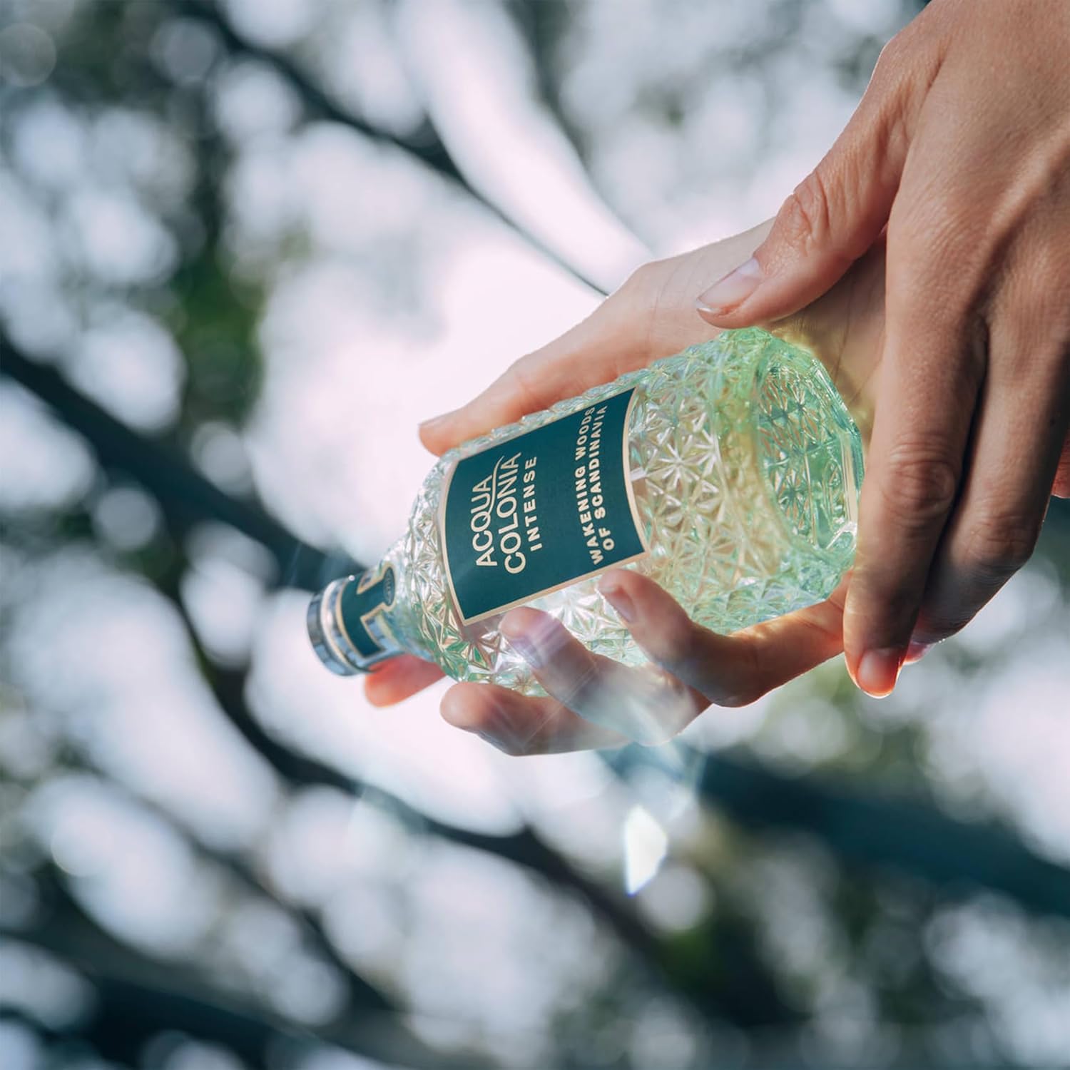 4711 Acqua Colonia® Intense Wakening Woods of Scandinavia | Eau de Cologne - aromatisch-holzig - Wellness für die Sinne | 50ml Natural Spray