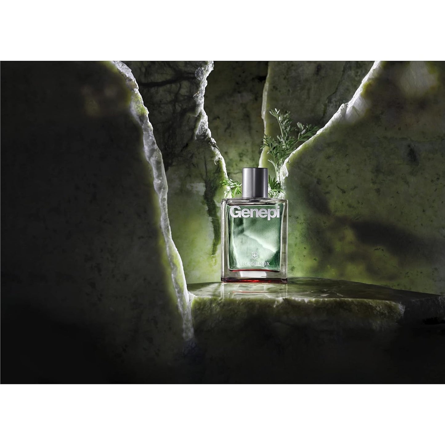 VICTORINOX Genepi Eau de Toilette für Herren, Parfüm mit Minze und Lavendel, Frisch und grün, 100 ml, V0000894