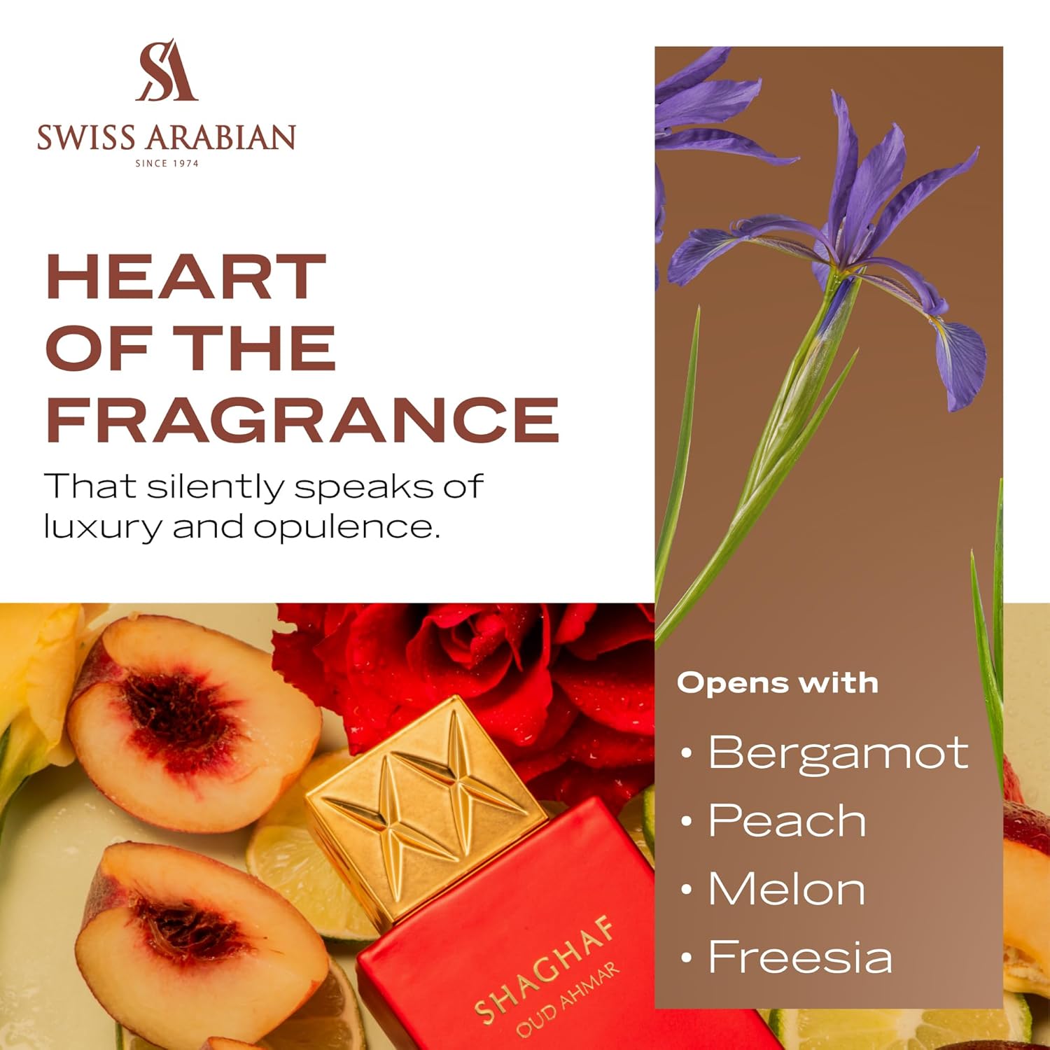 SHAGHAF OUD AHMAR - EAU DE PARFUM 75ML