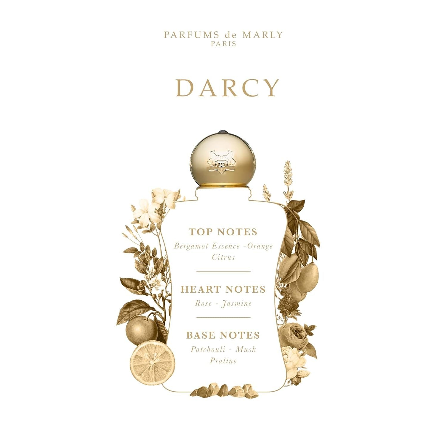 PARFUM DE MARLY Darcy EDP Vapo 75 ml