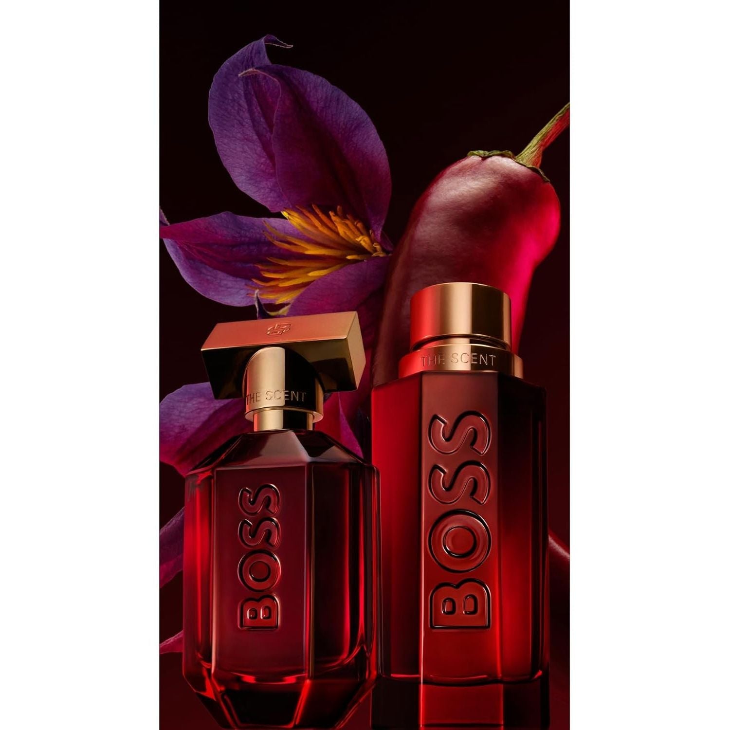 Boss The Scent Elixir Parfum Intense for Him